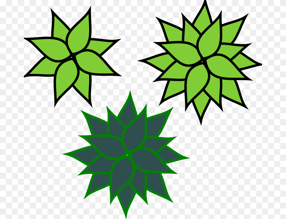 Agave, Green, Leaf, Pattern, Plant Free Transparent Png