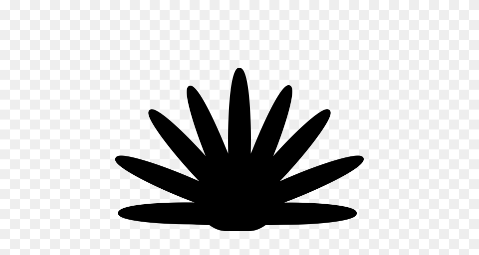 Agave Agave Pot Aloe Vera Icon With And Vector Format, Gray Png Image