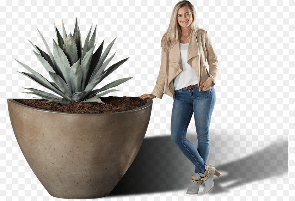 Agave Azul, Clothing, Plant, Pants, Jeans Free Png Download