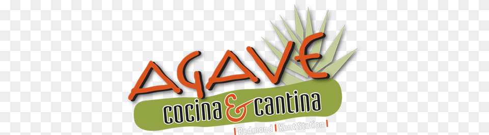 Agave Cocina Cantina Contemporary Mexican Cuisine, Grass, Plant, Aloe, Bulldozer Free Transparent Png