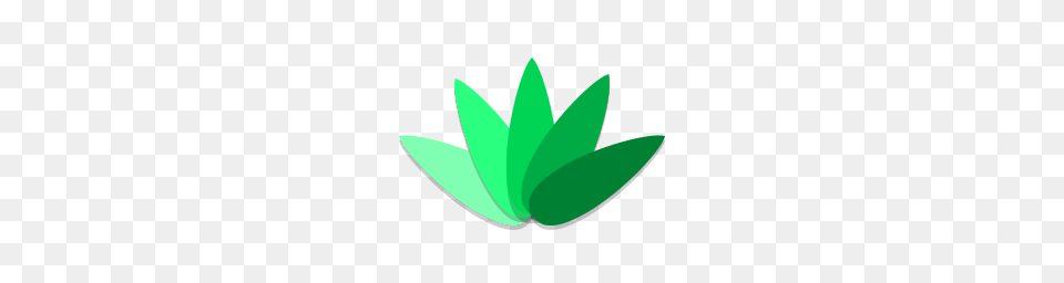 Agave Icon Papirus Apps Iconset Papirus Development Team, Green, Plant, Leaf, Shark Png