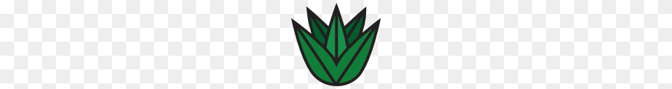 Agave Icons, Leaf, Plant Png