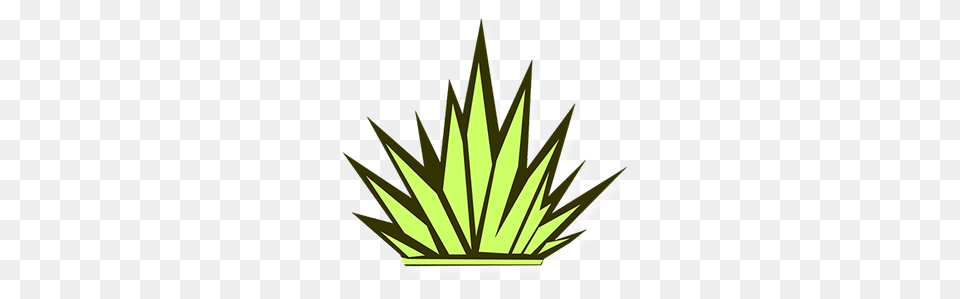 Agave Kitchen Bar, Leaf, Plant, Grass, Green Png Image