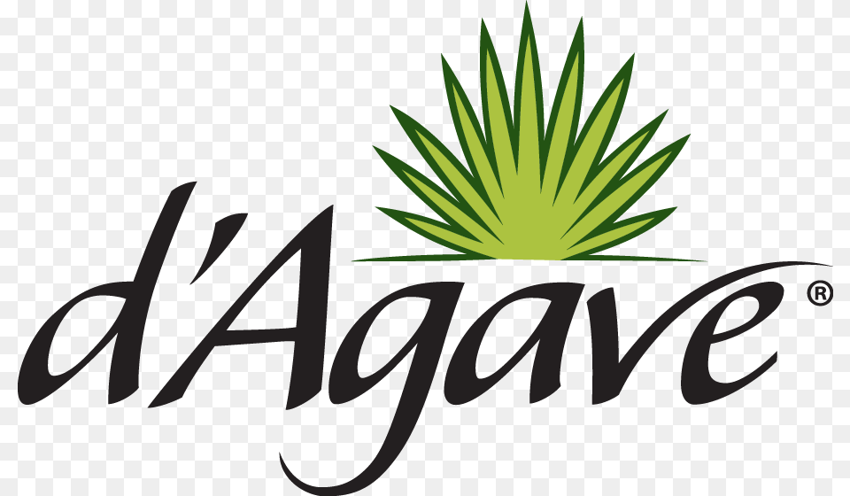 Agave Products Ciranda, Plant, Grass, Leaf, Herbal Free Transparent Png
