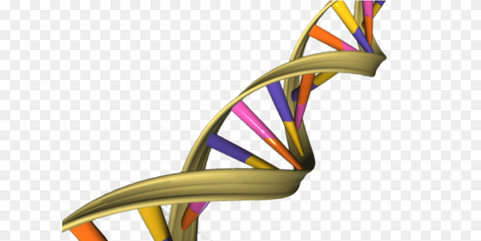 Aged Dna May Activate Genes Differently Dna Double Helix, Architecture, Staircase, Housing, House Png Image