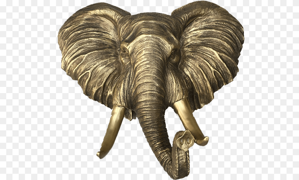 Aged Gold Elephant Head Home Decorhome Decor Accents Animal Figure, Mammal, Wildlife Png