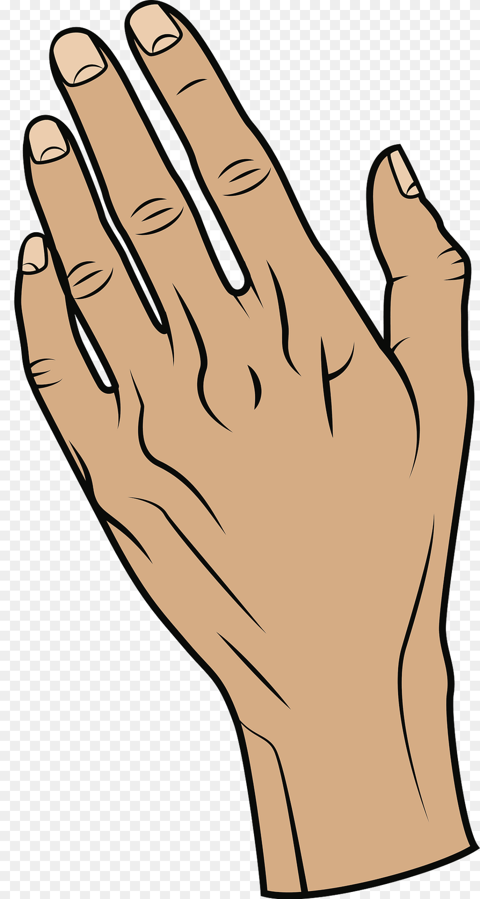 Aged Hand Clipart, Body Part, Person, Finger, Animal Free Transparent Png