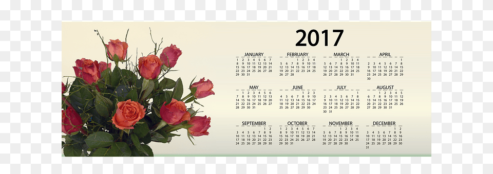 Agenda Text, Flower, Plant, Calendar Free Png Download