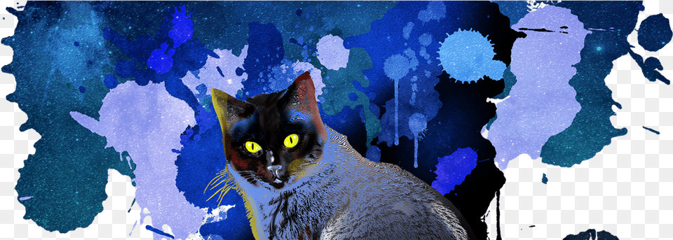 Agileart Agileartmastodon Social Gyerekszoba Falfests, Animal, Cat, Mammal, Pet Png