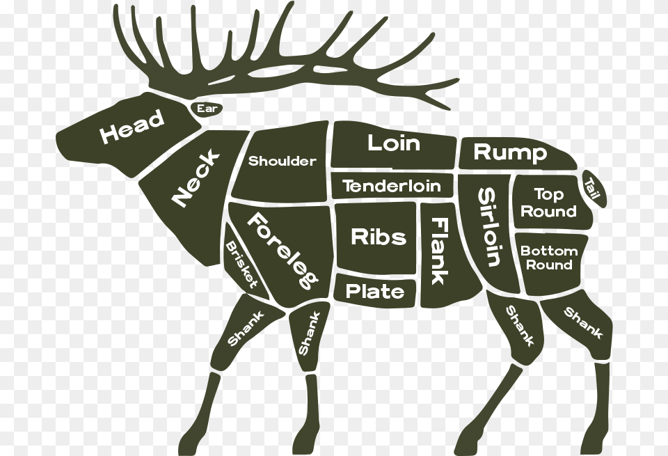 Aging Butchers Guide Cuts Of Elk, Animal, Deer, Mammal, Wildlife Free Png