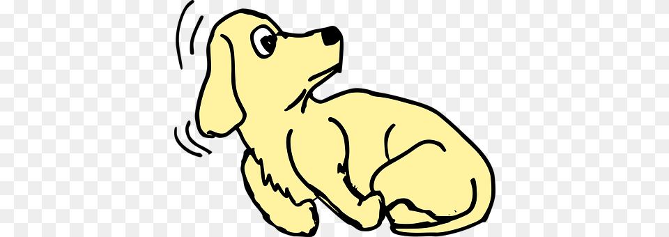 Agitated Snout, Animal, Canine, Dog Png