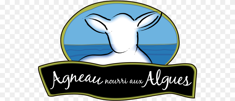 Agneau Nourri Aux Algues, Livestock, Animal, Mammal Png Image
