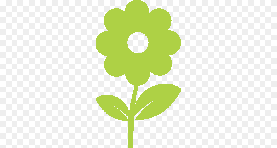 Agora Group Flowers Plants And Accessories For Professionals, Green, Leaf, Plant, Text Free Transparent Png