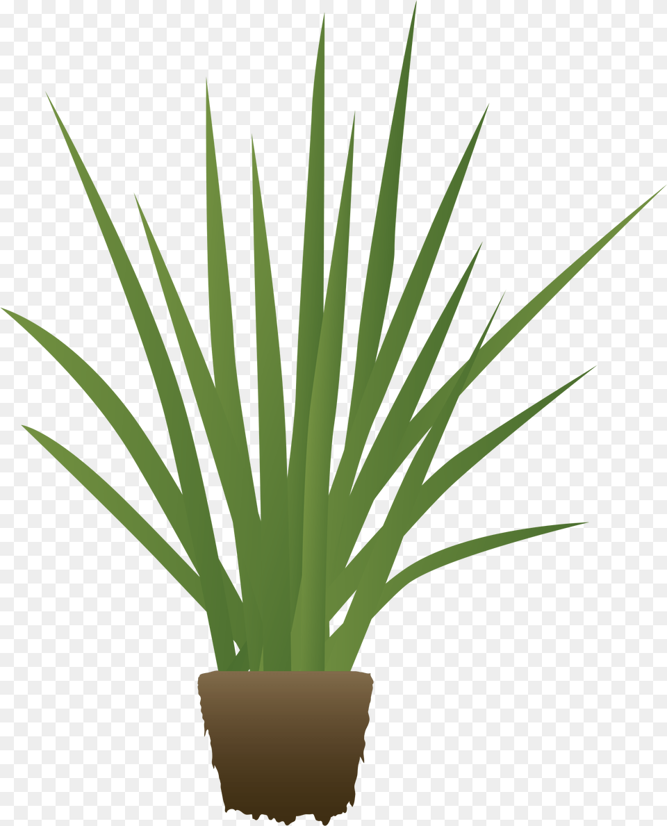 Agr Emojis Final Emoji Plant, Grass, Aloe Free Png