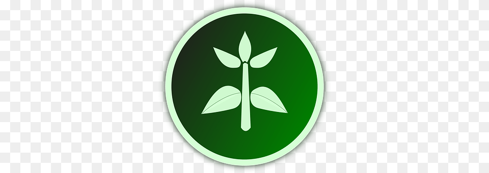 Agriculture Green, Herbal, Herbs, Leaf Png Image