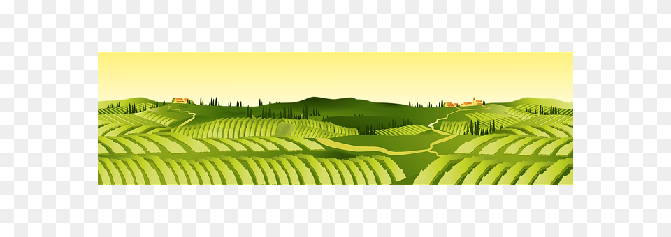 Agriculture Panoramic, Outdoors, Nature, Landscape Free Transparent Png