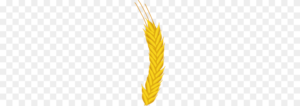 Agriculture Food, Grain, Produce, Wheat Free Transparent Png