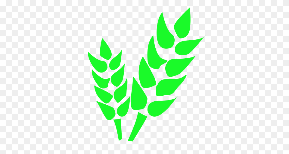 Agriculture Beer Fruit Icon With And Vector Format For, Green, Leaf, Plant Png