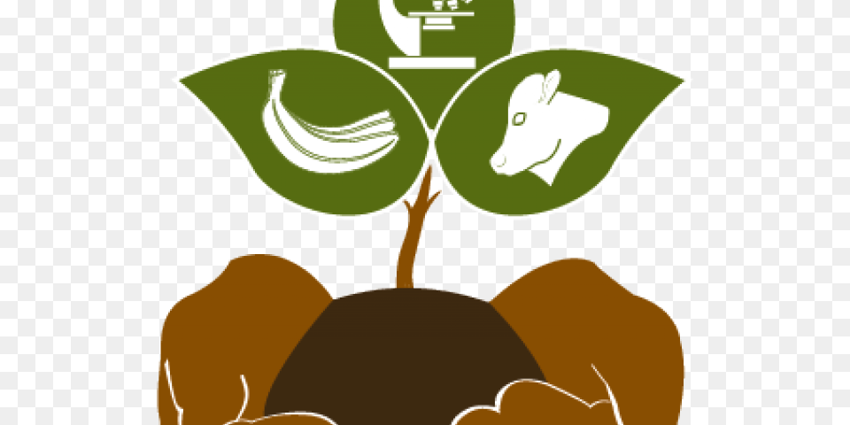 Agriculture Clipart Agri, Leaf, Plant, Food, Fruit Free Png