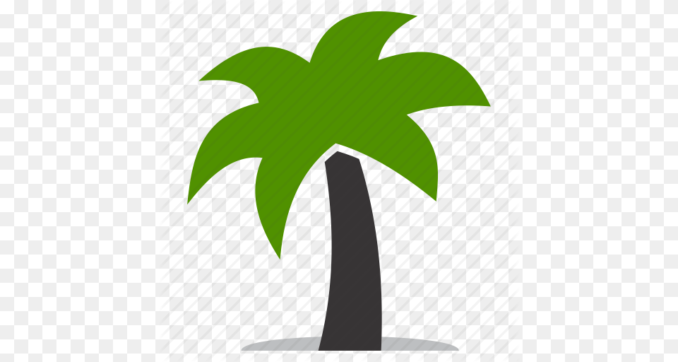 Agriculture Coconut Eco Ecology Environment Natural Nature, Leaf, Palm Tree, Plant, Tree Free Transparent Png