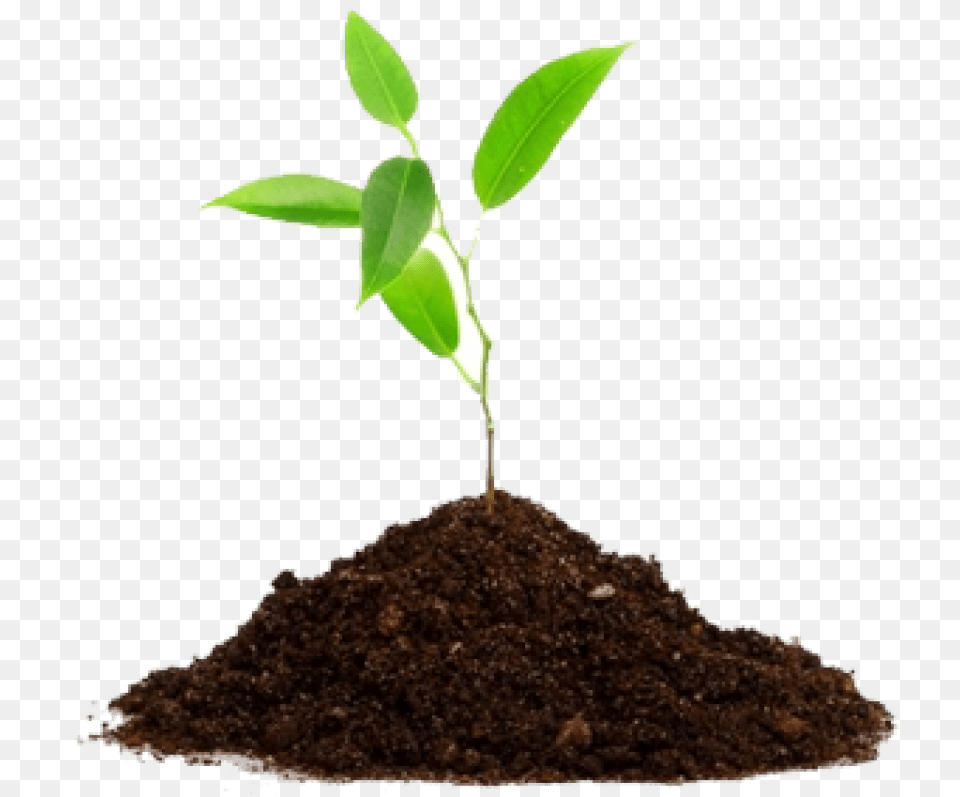 Agriculture Download, Soil, Leaf, Plant, Sprout Png