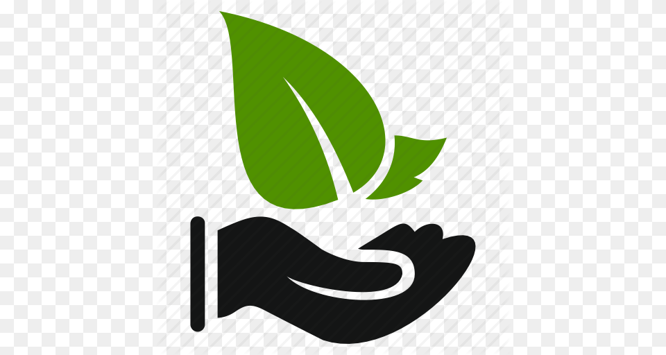 Agriculture Ecology Green Hand Leaf Leaves Natural Icon, Plant, Herbal, Herbs, Flower Png Image
