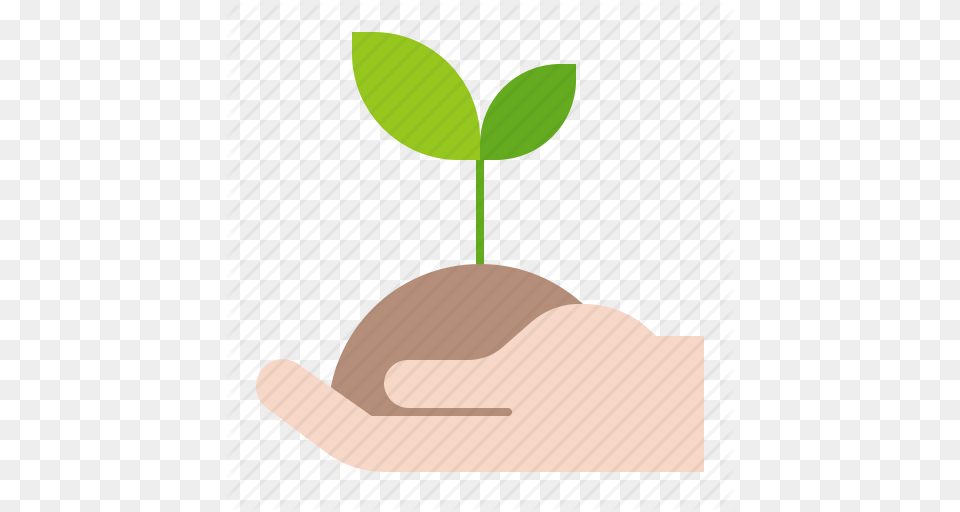 Agriculture Farm Plant Seedling Sprout Young Plant Icon, Leaf Free Png Download