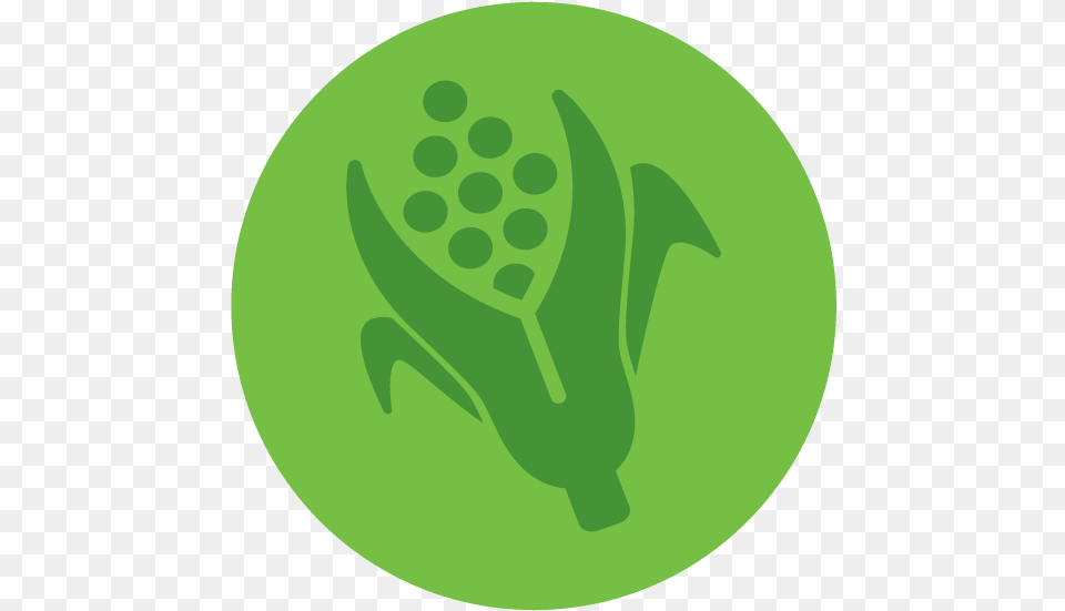 Agriculture Food And Natural Resources, Green, Astronomy, Moon, Nature Free Transparent Png