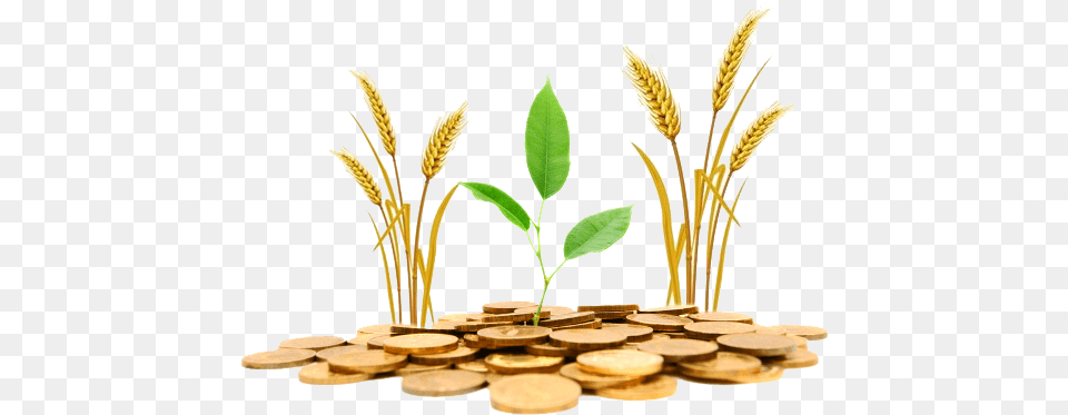 Agriculture Gold Loan For Farmers, Plant, Coin, Money Png