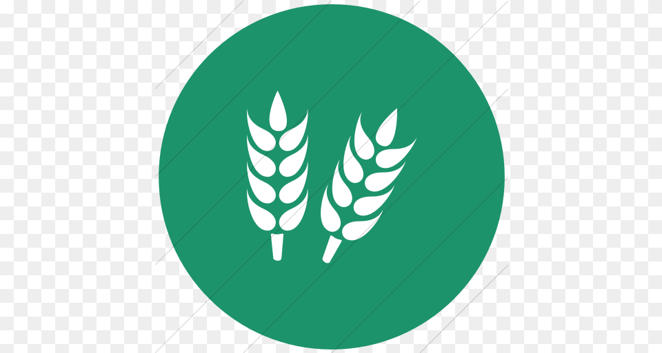 Agriculture Icon Gluten Logo Transparent, Leaf, Plant, Green Free Png