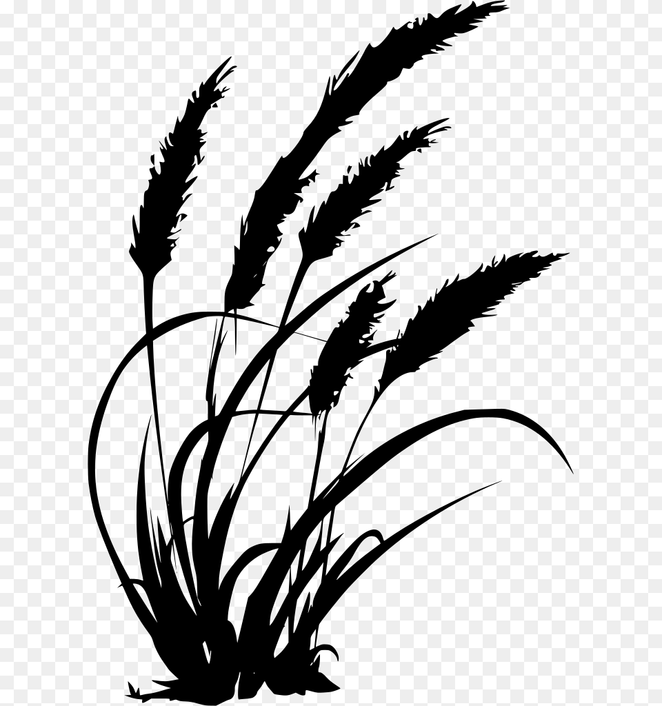 Agriculture In Black And White, Gray Free Png Download