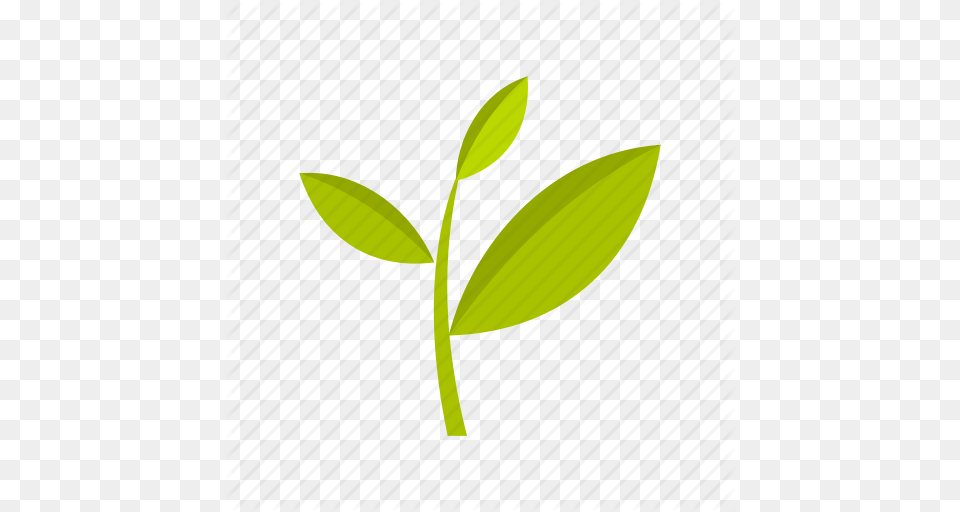 Agriculture Leaf Nature Plant Plantation Tea Tree Icon, Sprout Free Png Download