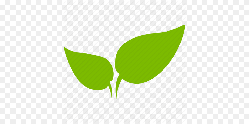 Agriculture Pic, Green, Leaf, Plant, Herbal Png Image