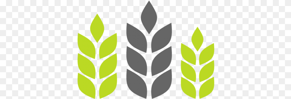 Agriculture Transparent Images Transparent Farm All Agriculture Company Logo, Green, Leaf, Plant, Person Free Png