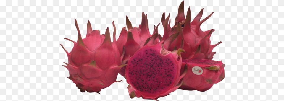 Agro Raw Red Dragon Fruit, Flower, Petal, Plant, Food Free Png Download