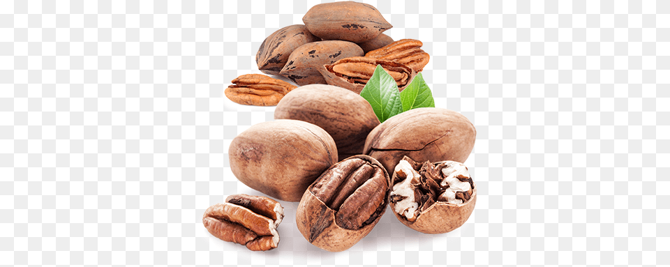 Agronomic Data Pecan, Food, Grain, Nut, Plant Png