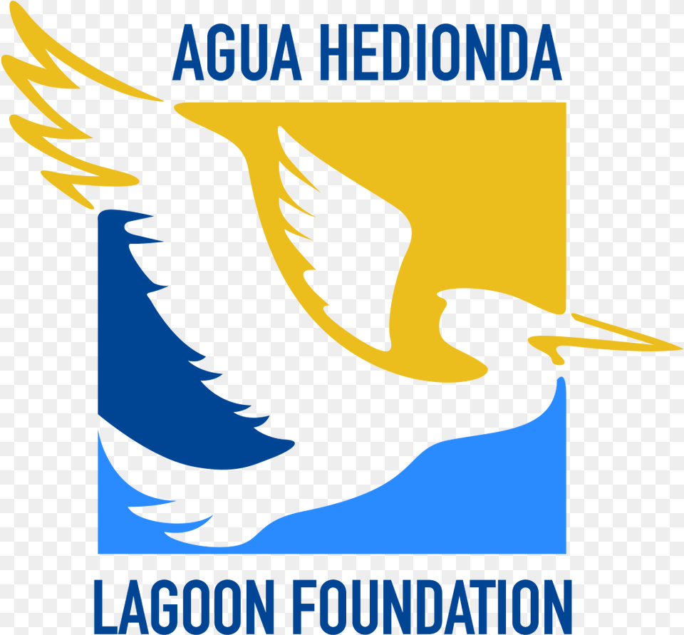 Agua Hedionda Lagoon Foundation Seabird, Animal, Bird, Blackbird, Person Free Png Download