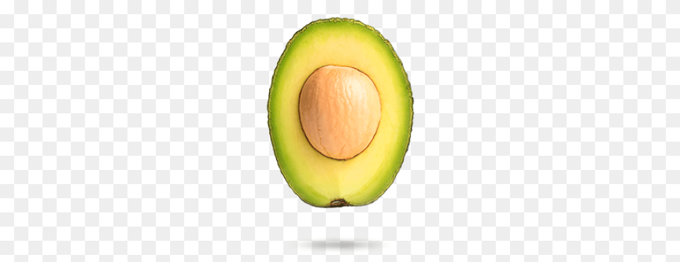 Aguacate, Avocado, Food, Fruit, Plant Free Transparent Png