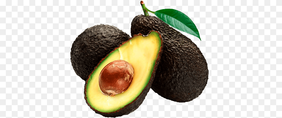 Aguacate Editable Brighter Blooms Hass Avocado Tree Plant Get Delicious, Food, Fruit, Produce Free Png
