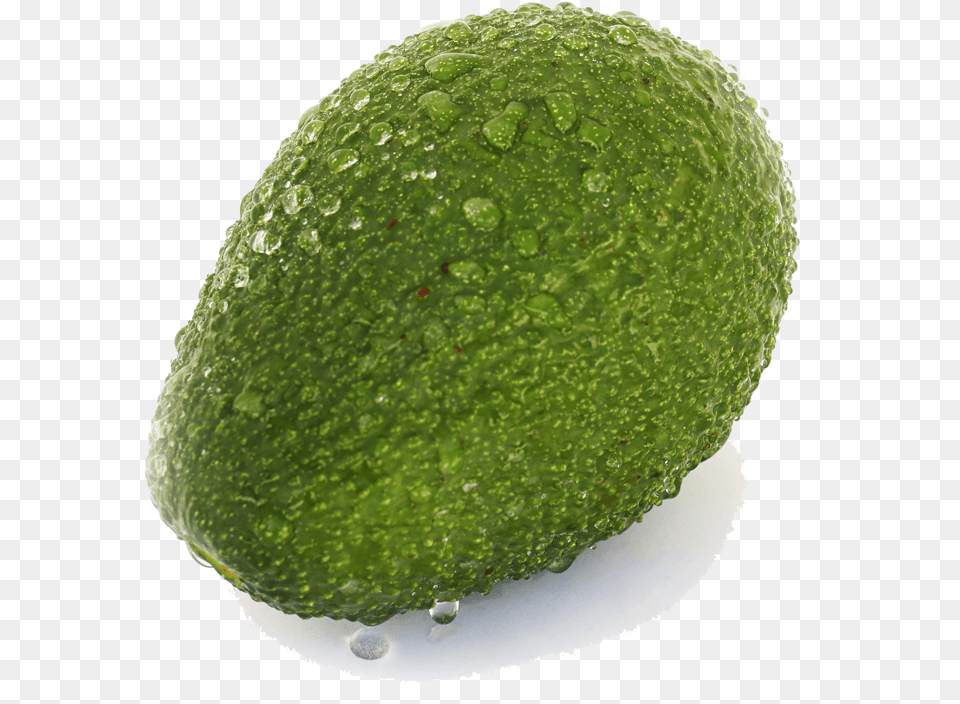 Aguacate Hass Persian Lime, Avocado, Food, Fruit, Plant Free Png Download