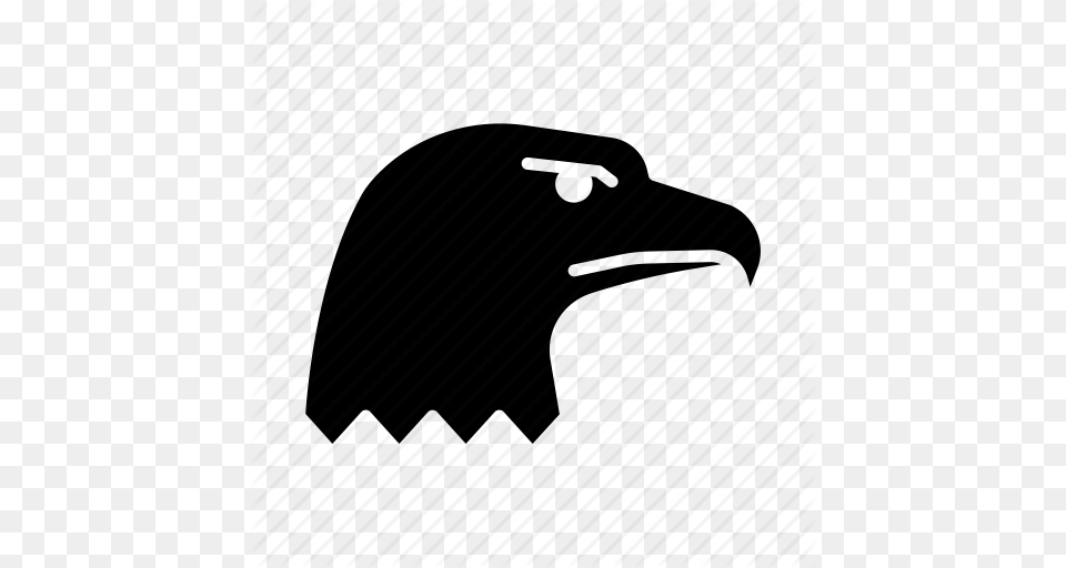 Aguia Aguila Aigle Bird Eagle Predator Icon, Animal, Beak Free Png Download