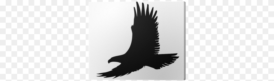 Aguia Tattoo Silhueta, Silhouette, Animal, Bird, Flying Free Png