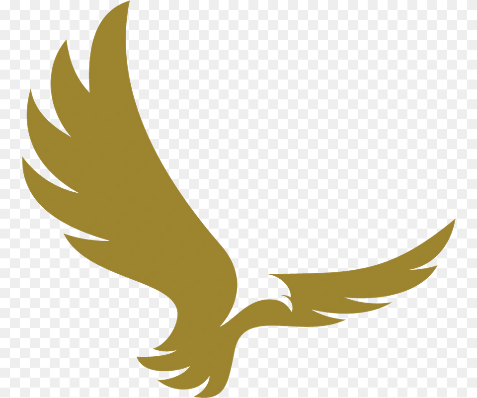 Aguila American Gold Digital Strategy, Animal, Bird, Flying, Eagle Png