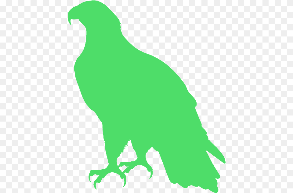 Aguila Americana Silueta, Animal, Bird, Hawk, Person Free Png Download