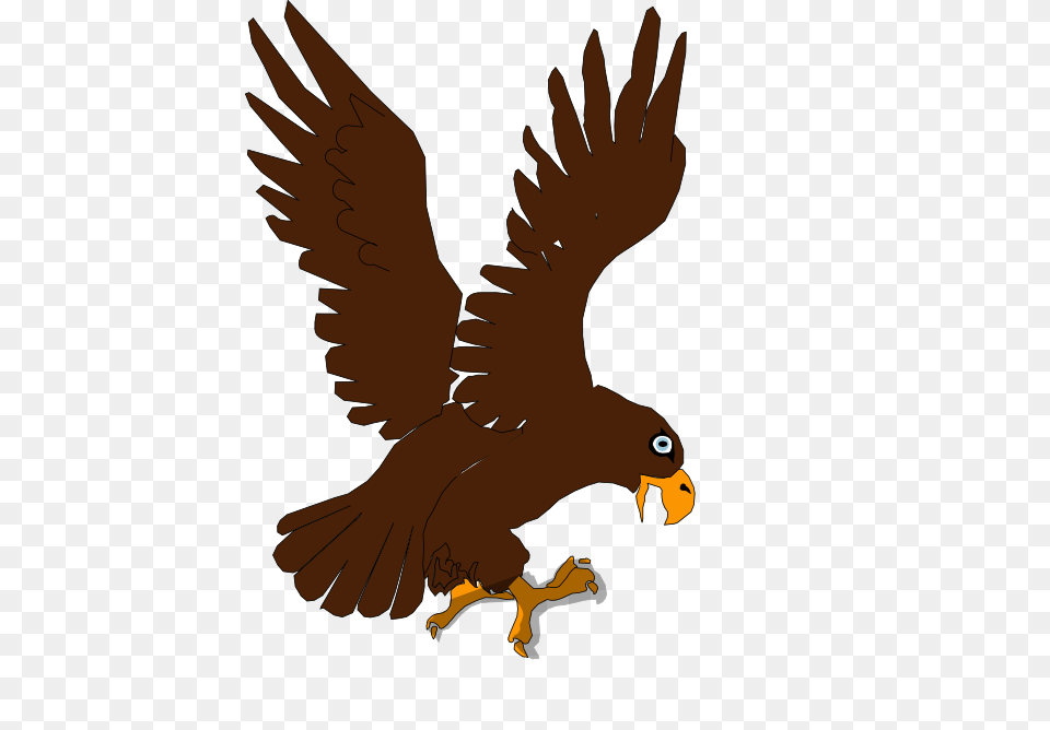 Aguila Clipart, Animal, Beak, Bird, Kite Bird Free Png Download