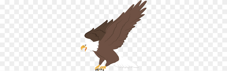 Aguila Painting, Animal, Bird, Eagle, Beak Png Image