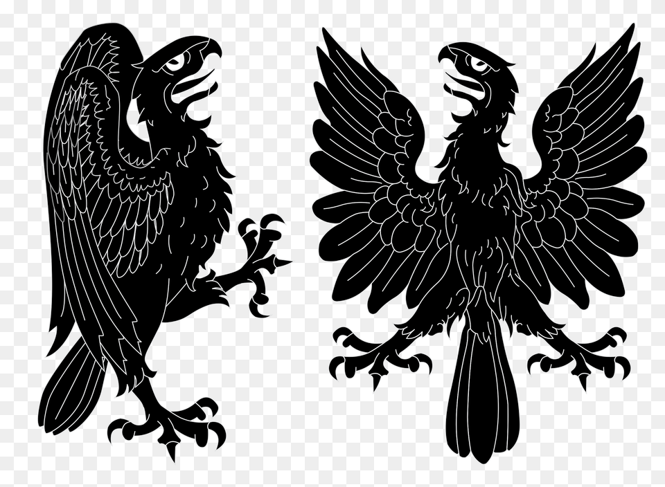 Aguilas Clipart, Animal, Bird, Vulture, Person Png Image