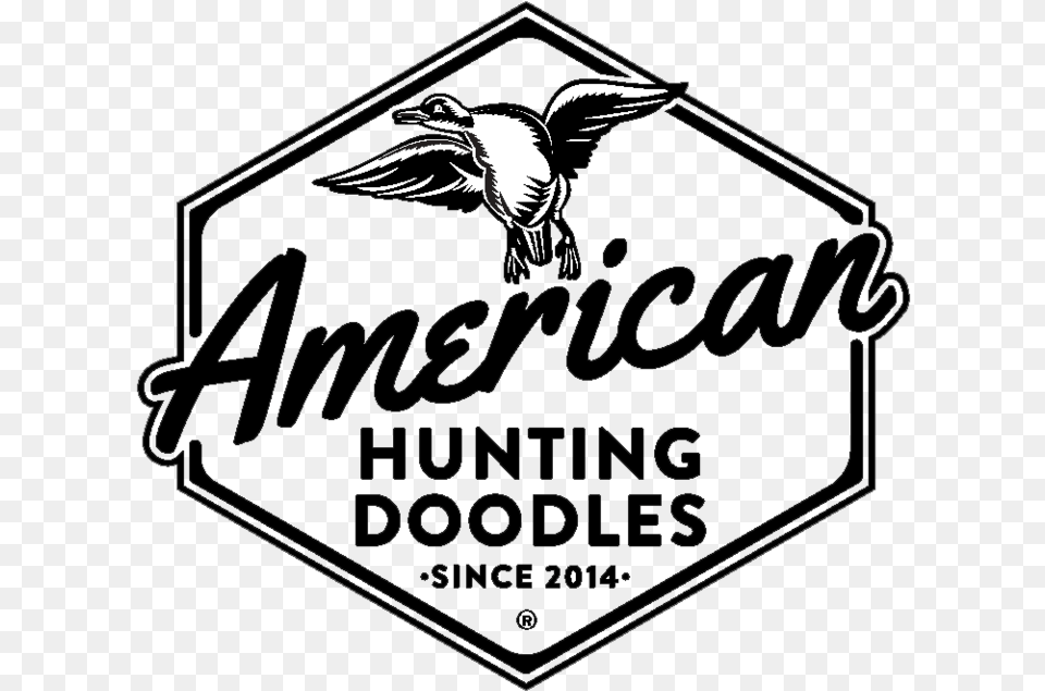 Ahd Logo Background American Hunting Doodles, Animal, Bird, Flying Free Png Download