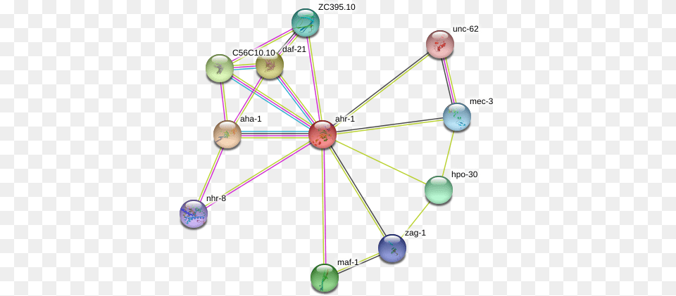 Ahr 1 Protein Circle, Network, Ball, Tennis, Sport Free Png Download