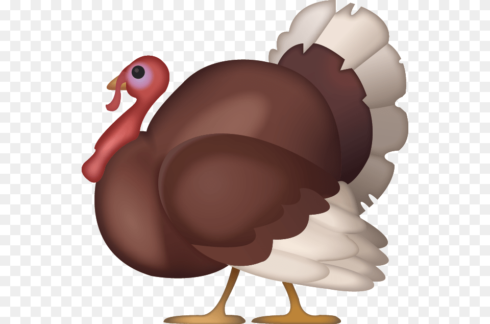 Ai File Iphone, Animal, Bird, Fowl, Poultry Free Transparent Png